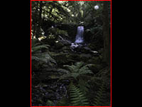 MWaterfall, Tasmania