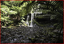 Waterfall, Tasmania.